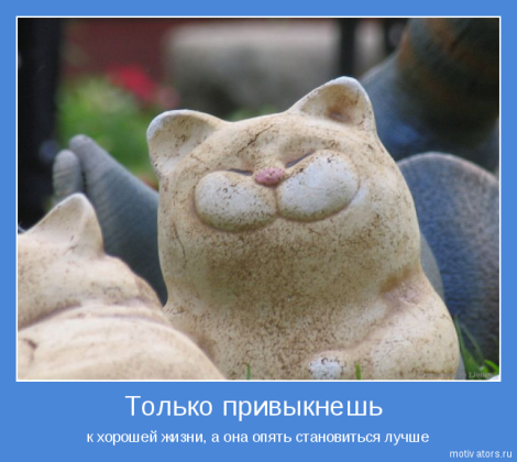 10 минут медицинской деградации заменяют 136 грамм сметаны