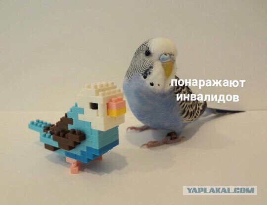 Если ты женат на б**ди!