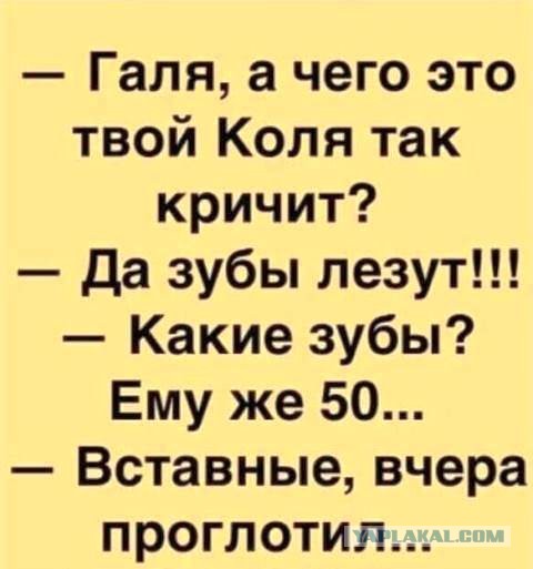Немного картинок для настроения 07.11.20