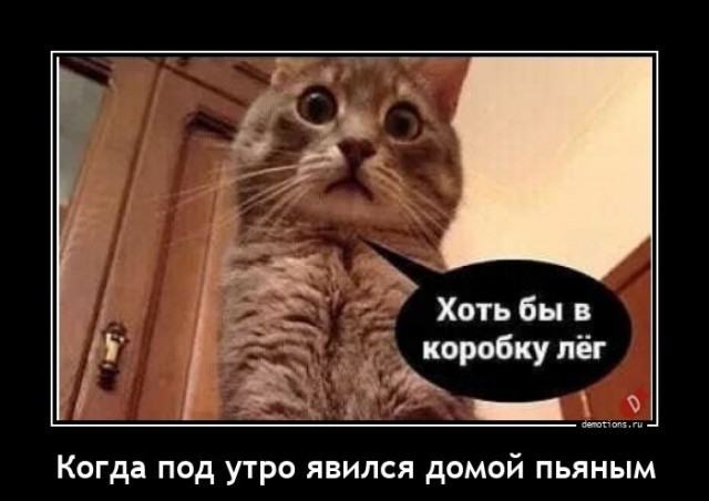 Картинки всякие