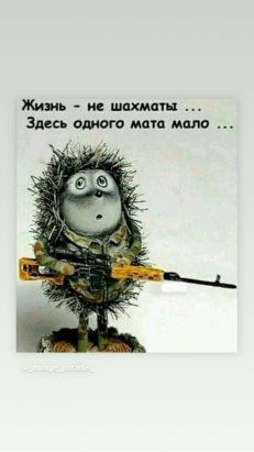 Алкопост 8.10.21