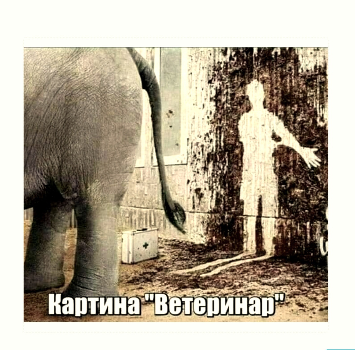 16454050.jpg