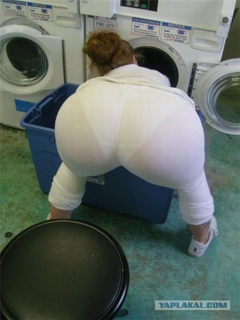 15 фото жопастеньких сударынь, коллеги!