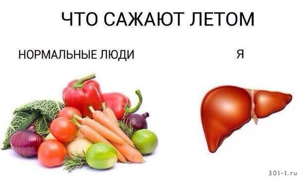 Пятница. Вечер. Картинки всякие #13