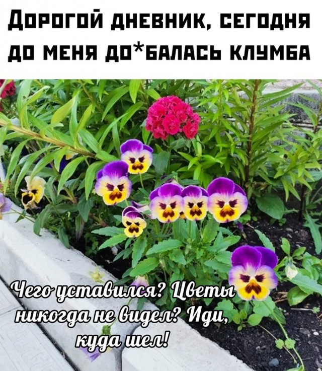 Немного картинок для настроения - 129
