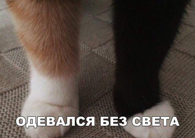 Картинки и мемы, всем хороших выходных