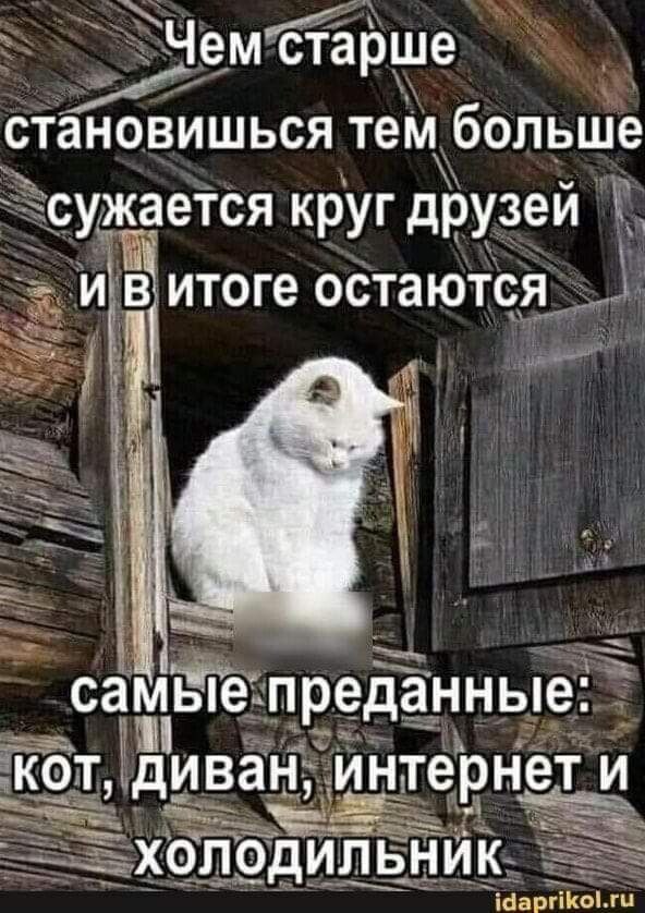 Победная поступь идиотизма по планете – том 5