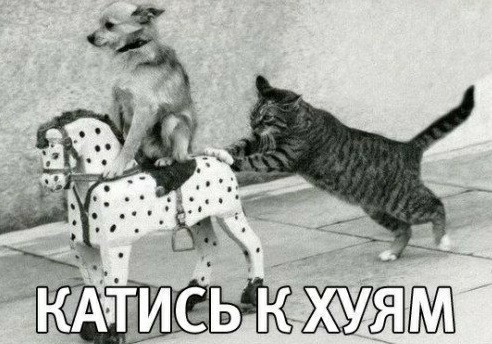 По ошибке⁠⁠