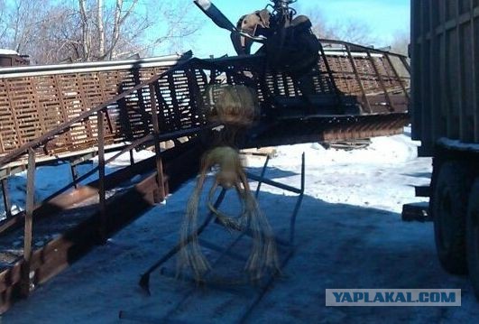 Пермяк заснял тарелку НЛО и инопланетянина