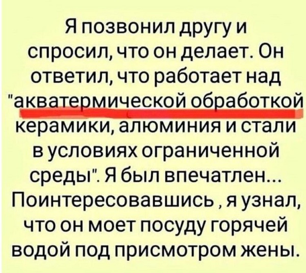 Весёлый полтишок 06.06.25