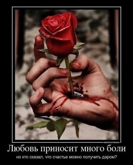 Склад баянов