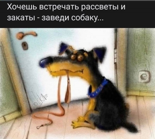 Картинки для деградации 166 (разной степени свежести)