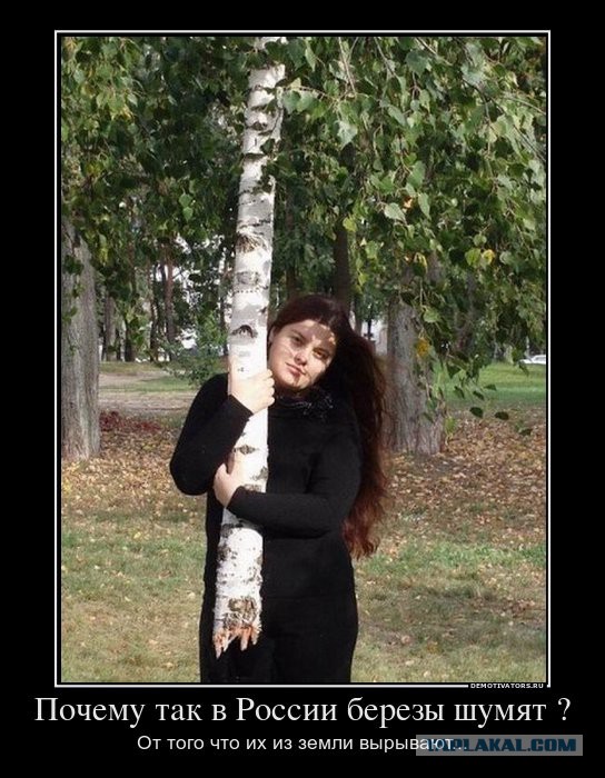 Улыбнуло