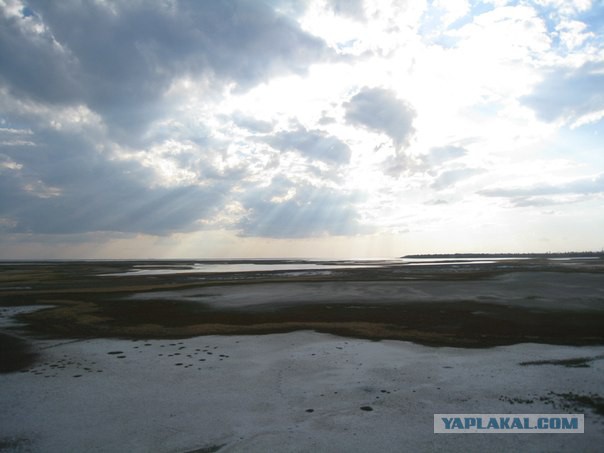 Арабатская стрелка