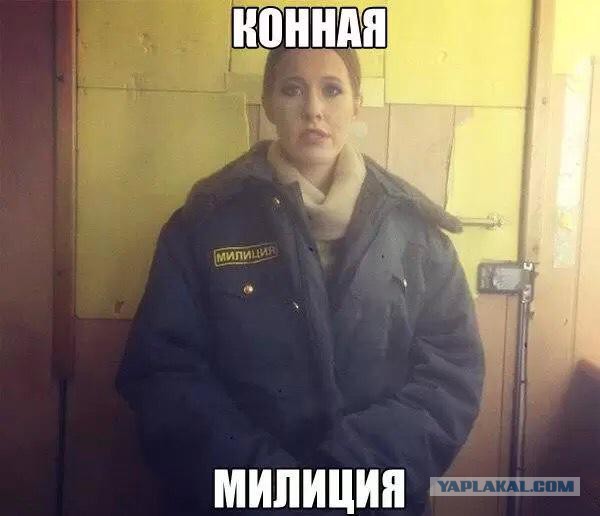 Смешные картинки