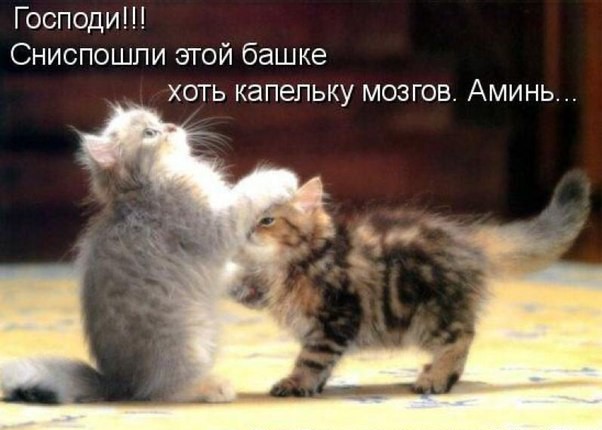 Немцов убит в Москве