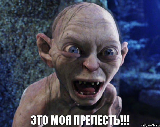 Как мы в армии кошку натренировали