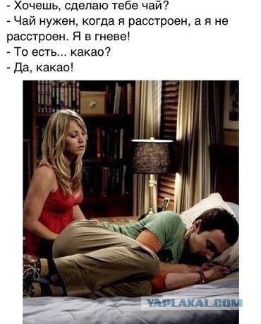 Забавные картинки из Сети