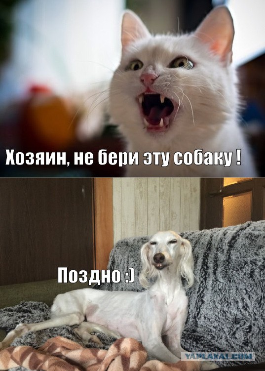 Жизнь боль!