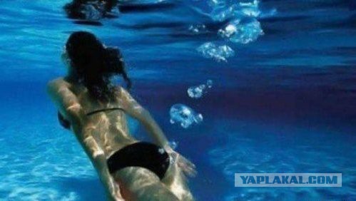 20 совершенно бесполезных фактов.