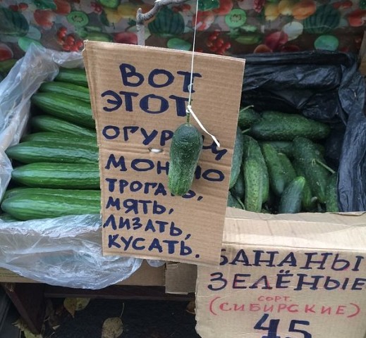 Веселые картинки