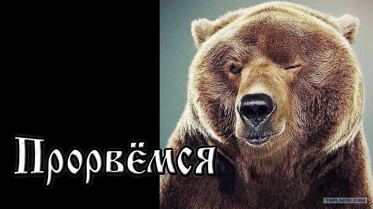 
Прорвемся Все Будет Хорошо