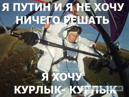 Путин с клювом в халате возглавил журавлиный клин