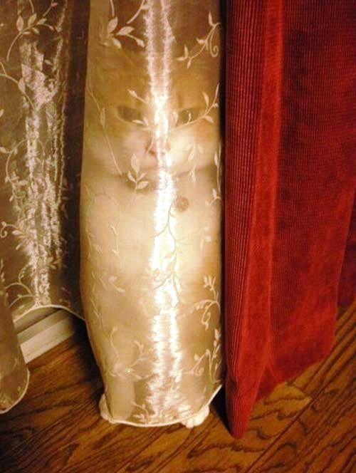 Подборка картинок