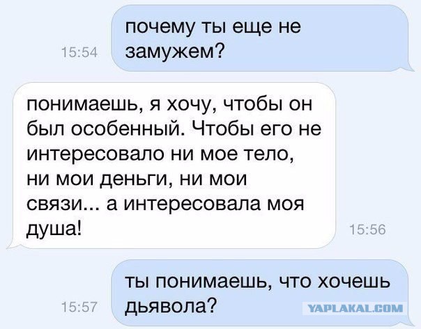 Мачо для Мохначо