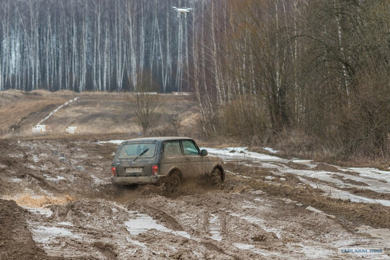 Бездорожье в лесу