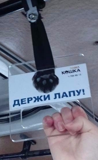 Картинки разные.
