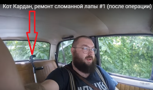 Лечение гаражного кота Кардана.
