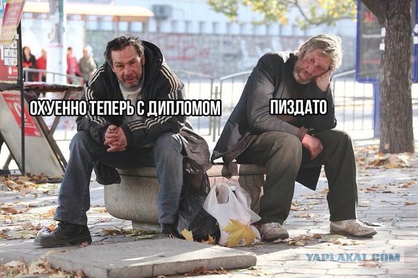 Голодец считает, что высшее образование нужно лишь 35% работающих россиян