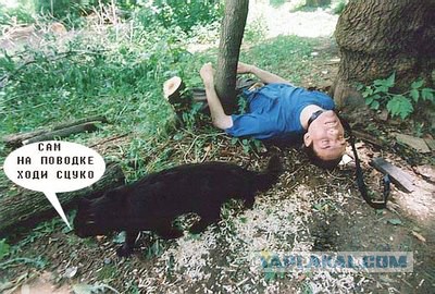 Измена откуда не ждали