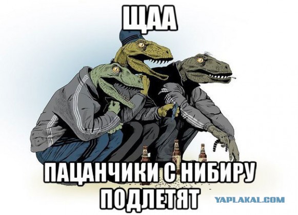 Как Алексадр Соколов на Рен ТВ ходил