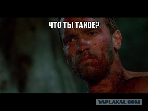 Чем же все-таки кормили в советских столовых