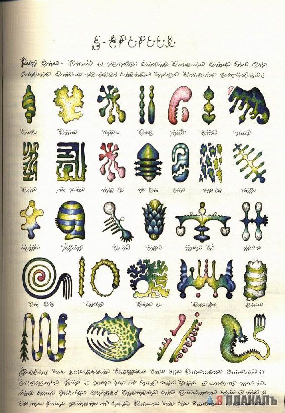 Codex Seraphinianus - что курил автор?