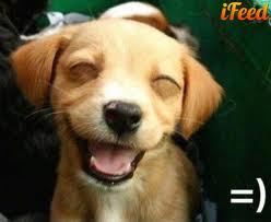 ЯП ошибся может быть :)