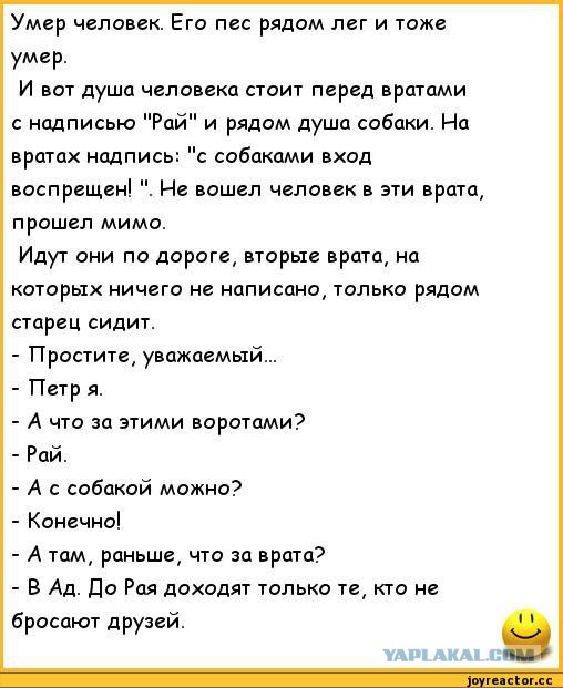 Старик попал в Рай и спустя 10 минут начал возмущаться