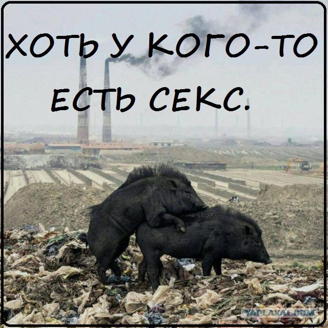 Тлен, тоска и безысходность