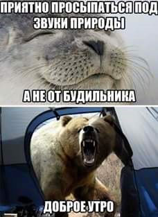 Развиваешься себе, тут опа-на и деградация пришла!