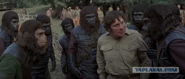 Днем бургерную охраняют, а ночью пристают к несовершеннолетним девочкам