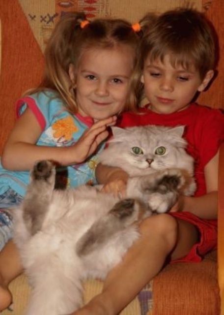 УРРААА ! Котовторник на ЯПлакалъ !