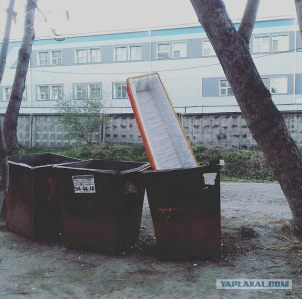 Подборка интересных и веселых картинок