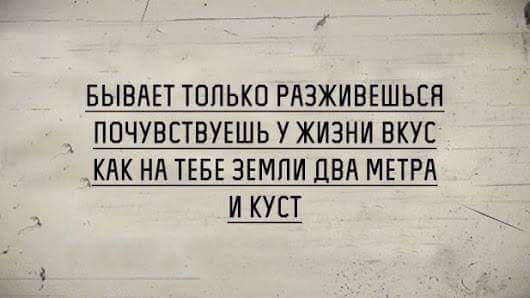 Чёрный вторник наступил! Тёмные силы вырвались на свободу...