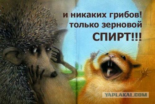 Наркота это зло