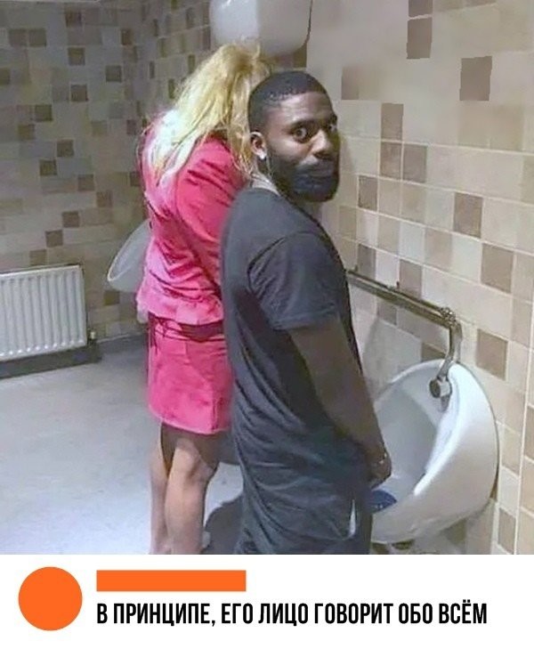 Лента прикольных картинок