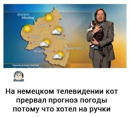 Смешные комментарии из социальных сетей 23.11.2018