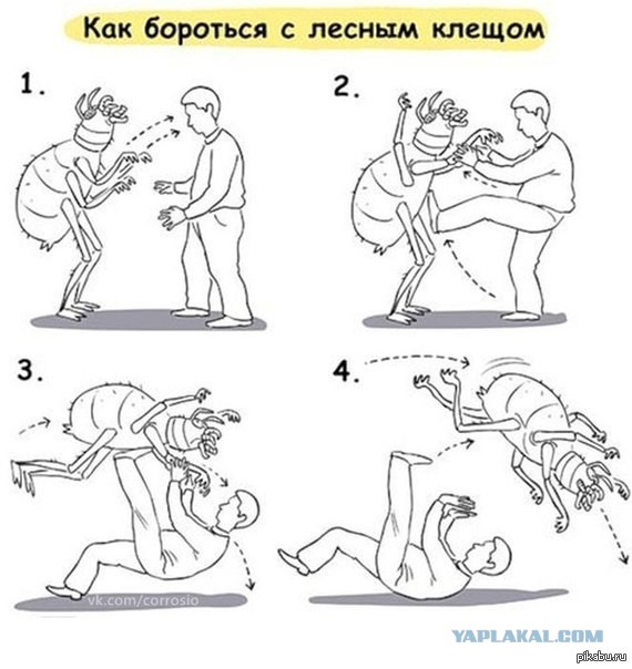 «Анаферон» – отличное средство, если у вас нет мозгов!