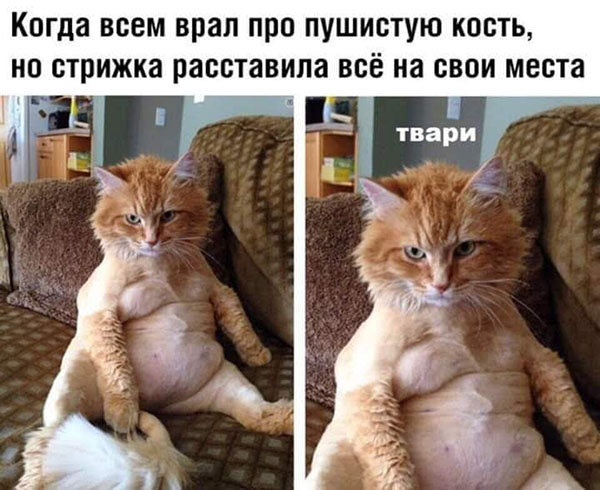 Картинки разные нужны, картинки всякие важны